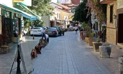 Nüfusu 82 olan, gece ise 10 bini aşan mahallenin sırrı!
