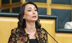DEM Parti’den iç barış ve İmralı çağrısı