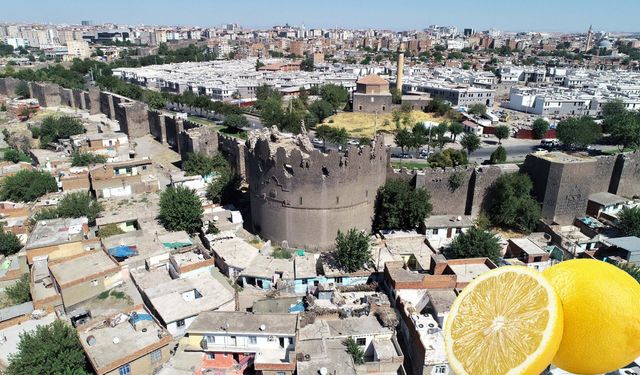 Diyarbakır’da limonun fiyatı arttı, vatandaş tuzuna yöneldi