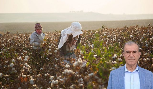 Diyarbakır’ın ‘beyaz altın’ında felaket yılı!