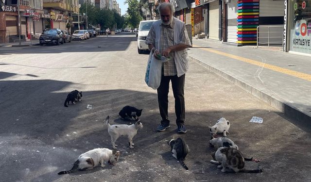 Diyarbakır’da oscarlık hayvan sevgisi